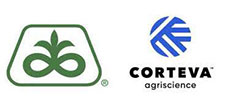 Pioneer Corteva logo